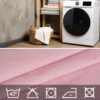 STSPAN-ROSA_60